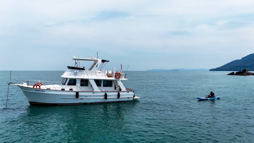 IMG-20250318-WA0009